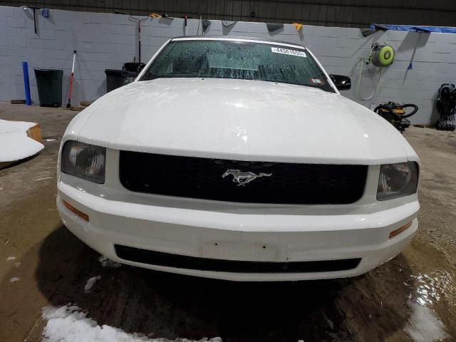 2005 Ford Mustang