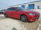 2024 Lexus ES 350 Base