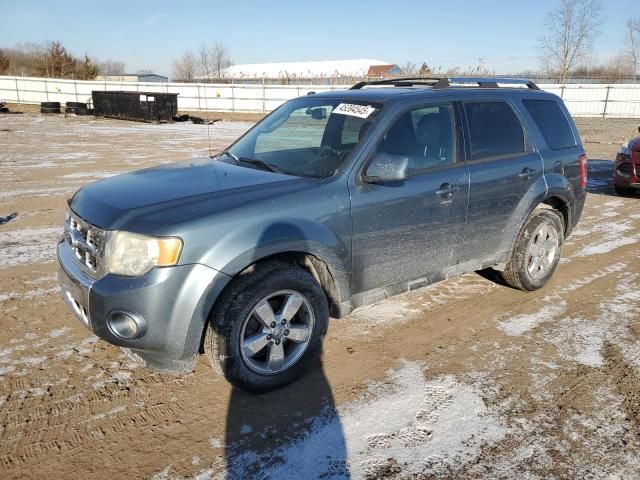 2011 Ford Escape Limited