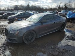 Audi s5/rs5 salvage cars for sale: 2015 Audi S5 Premium Plus