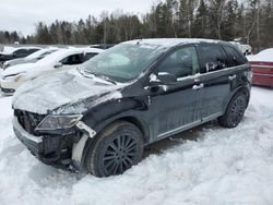 Salvage cars for sale from Copart Cookstown, ON: 2013 Lincoln MKX