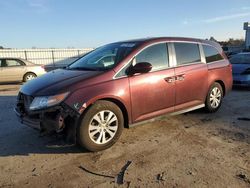 Honda Vehiculos salvage en venta: 2015 Honda Odyssey EXL