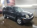 2005 Hyundai Santa FE GLS