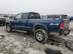 2004 Dodge Dakota SXT