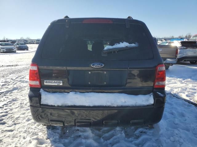 2010 Ford Escape XLT