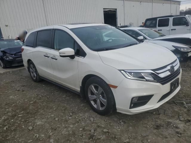 2019 Honda Odyssey EXL