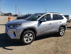 Toyota rav4 xle salvage cars for sale: 2019 Toyota Rav4 XLE