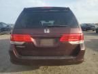 2008 Honda Odyssey EXL