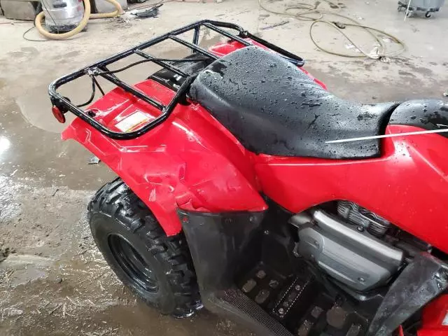 2022 Honda TRX250 TE