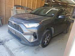 Clean Title Cars for sale at auction: 2019 Toyota Rav4 XLE