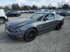 2013 Ford Mustang