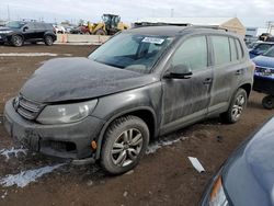 Volkswagen salvage cars for sale: 2016 Volkswagen Tiguan S