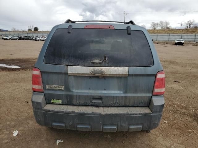 2011 Ford Escape Limited