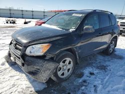 Salvage cars for sale at Cahokia Heights, IL auction: 2010 Toyota Rav4