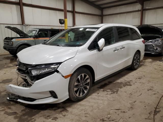 2023 Honda Odyssey EXL