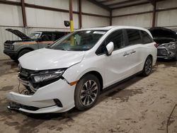 Salvage cars for sale at Pennsburg, PA auction: 2023 Honda Odyssey EXL