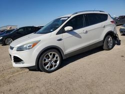 Salvage cars for sale at Amarillo, TX auction: 2015 Ford Escape Titanium