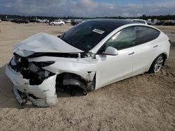 Salvage cars for sale at auction: 2023 Tesla Model Y