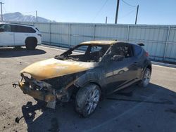 Carros salvage sin ofertas aún a la venta en subasta: 2017 Hyundai Veloster