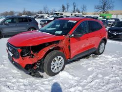 Salvage cars for sale at Bridgeton, MO auction: 2024 Ford Escape Active