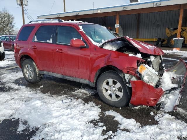 2011 Ford Escape Limited