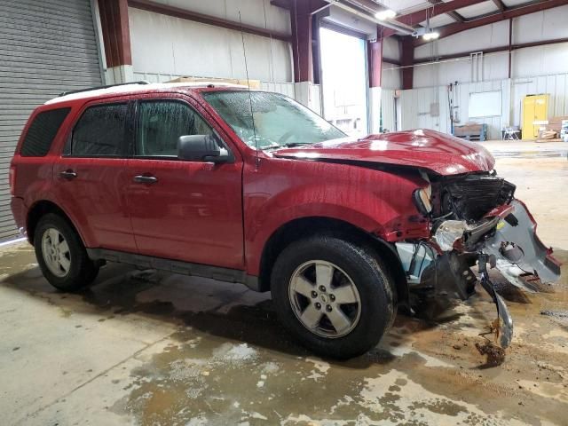 2010 Ford Escape XLT