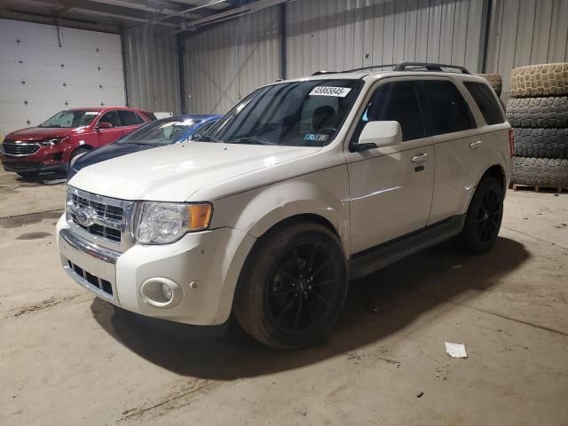 2010 Ford Escape Limited