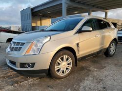 Carros salvage a la venta en subasta: 2012 Cadillac SRX Luxury Collection