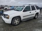 2002 Chevrolet Trailblazer