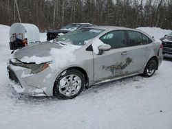 Clean Title Cars for sale at auction: 2020 Toyota Corolla LE