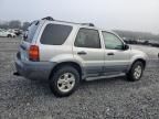 2007 Ford Escape XLT