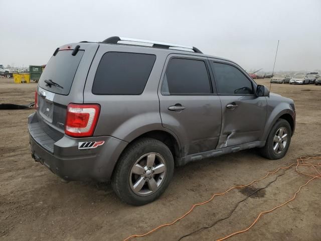 2009 Ford Escape Limited