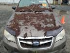 2009 Subaru Outback