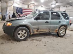 Salvage cars for sale at Columbia, MO auction: 2006 Ford Escape XLT