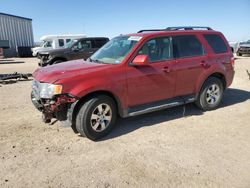 Salvage cars for sale at Amarillo, TX auction: 2011 Ford Escape Limited