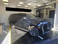 Clean Title Cars for sale at auction: 2022 Cadillac Escalade ESV Sport