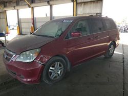 Honda salvage cars for sale: 2005 Honda Odyssey EXL