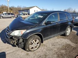 Clean Title Cars for sale at auction: 2010 Honda CR-V EX