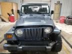 2001 Jeep Wrangler / TJ SE