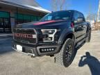 2019 Ford F150 Raptor