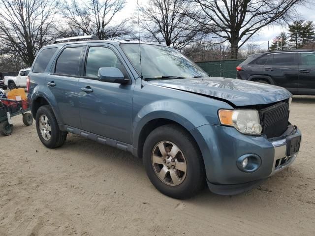 2011 Ford Escape Limited