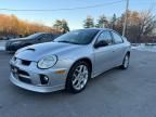 2005 Dodge Neon SRT-4