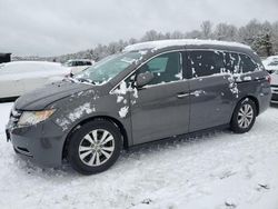 Honda Odyssey se Vehiculos salvage en venta: 2016 Honda Odyssey SE