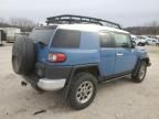 2013 Toyota FJ Cruiser