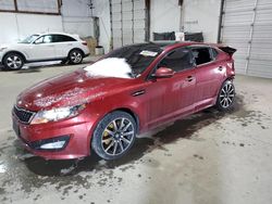 Salvage cars for sale at Lexington, KY auction: 2013 KIA Optima SX