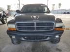 2002 Dodge Dakota Quad Sport