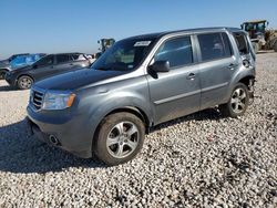 2013 Honda Pilot EXL en venta en Temple, TX