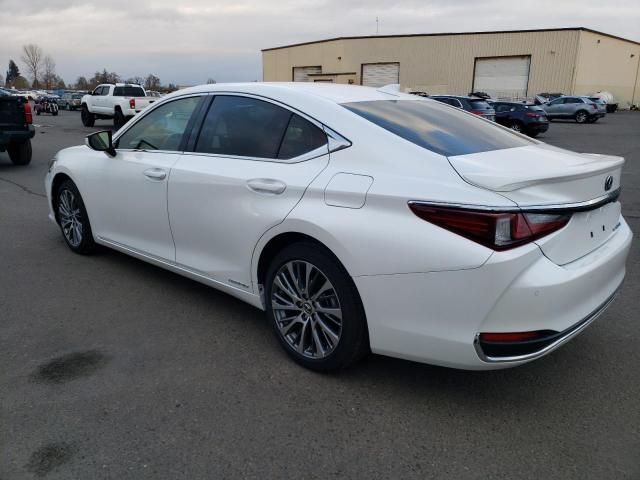 2019 Lexus ES 300H