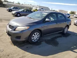 Salvage cars for sale at Martinez, CA auction: 2009 Toyota Corolla Base