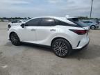 2023 Lexus RX 350 Base